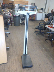 Pelstar Health-O-Meter Professional Scale