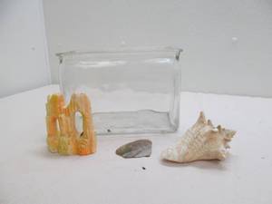 aquaruim,shells