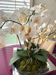 Large Artificial Orchid Arrangement