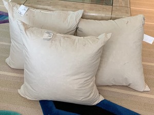Three Large Down Throw Pillows by Lodi