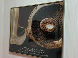 Framed ArtworkPoster