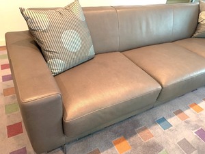 Della Robia Leather Sofa