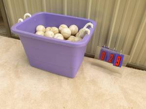 lot 29 image: Large tub of softballs. As shown.