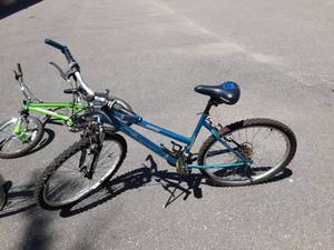 lot 12 image: Magna 26 Girls Mountain Bike