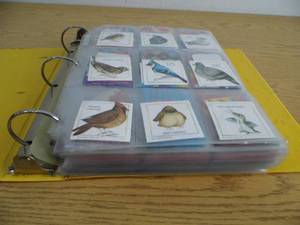Bidner of Collector Cards