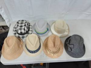 Collection Of Fedoras