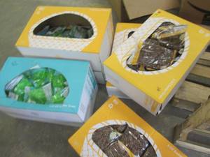 5 Boxes of Easter Grass...