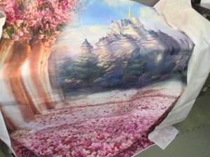 2 ea Pink Theme 6x6ft Cartoon Fairy...