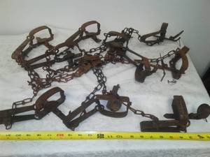 lot 47 image: 10 gopher traps - metal - real deal.