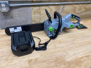 lot 60 image: EGO 14 Battery Powered Chainsaw w charger