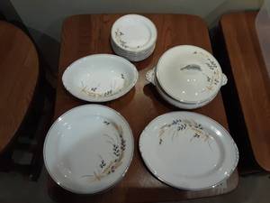 lot 27 image: Nautilus Dinner Plates, Salad Plates, Platter, Covered Dish