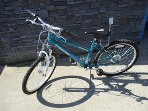 lot 62 image: Roadmaster Bike
