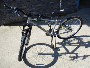 lot 64 image: Roadmaster Bike
