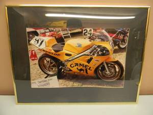 lot 13 image: Vintage Camel Racing Picture in Frame 24x18  - SEE PICTURES