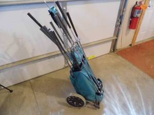 lot 32 image: 2 Sets Clubs wCaddy