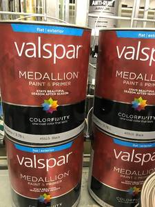 Valspar Medallion Exterior Flat