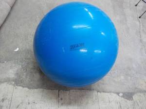 lot 21 image: Gymnic Exercise Ball...