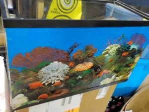 lot 37 image: Aquarium 20 x 10 x 12...
