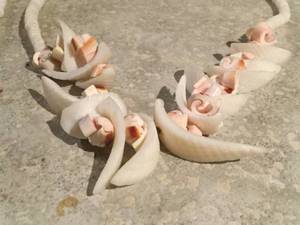 lot 51 image: 2- Natural sea shell necklaces