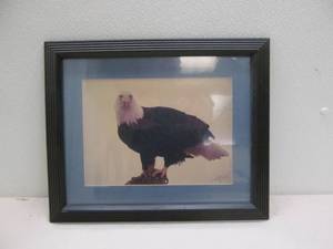 lot 248 image: Bald Eagle photo