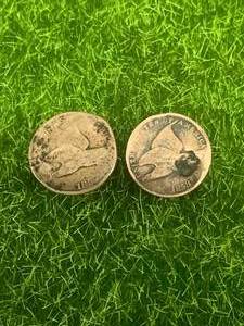 1857 & 1858 Flying Eagle Cents