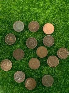 Indian Head Pennies (15 different years)