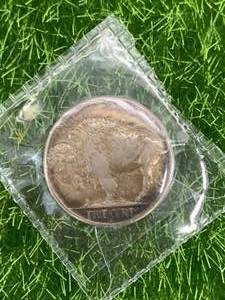 Buffalo Nickel Hobo Coin