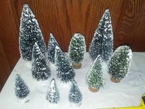 lot 224 image: 11 trees
