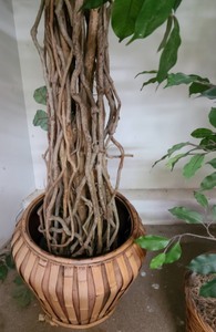 Lot Of Large Faux Foliage