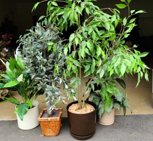 Lot Of Faux Foliage