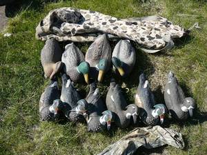 lot 159 image: 10 Duck decoys