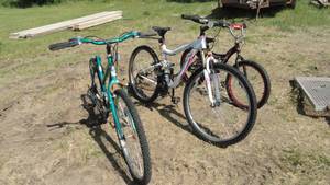 lot 208 image: 3 - Bikes