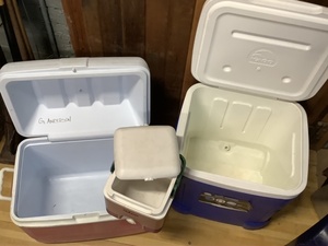 lot 188 image: Rubbermaid & Igloo Coolers