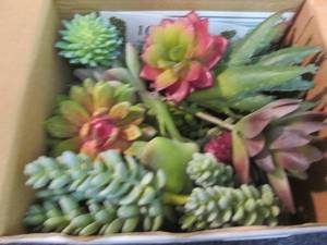 lot 284 image: Box of Artificial Succulents...