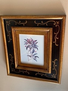 Three Beautifully Framed Botical Prints