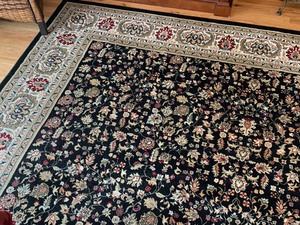 Multi Colored Beautiful Area Rug