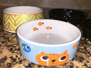 Pet Food Dishes