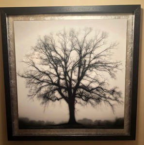 Artwork- Large Black and White Framed Tree- Beautiful