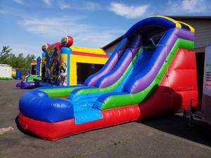 lot 52 image: 15 Aqua Beast Water Slide or dry slide (best for 12 YO and under)