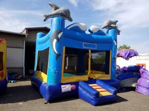 lot 54 image: 15 X 15 Dolphin Moonwalk