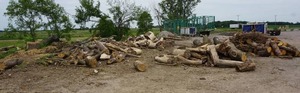 lot 32 image: TruckTrailer Load of Mix Species Fire Wood