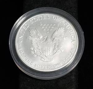 1999 COLORIZED AMERICAN SILVER EAGLE 1 TROY OZ. .999 FINE SILVER IN AIRTITE