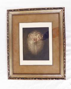 lot 128 image: Vintage Framed Flower Print