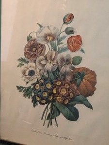lot 105 image: Botanical Framed Print