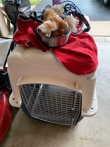 lot 222 image: Indoor Dog Kennel and Misc Dog Items