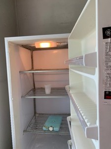lot 233 image: Upright Freezer