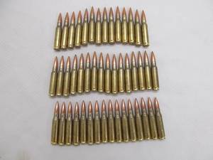 lot 17 image: ammo