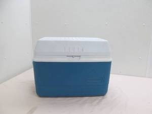 lot 212 image: cooler
