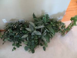 lot 84 image: Collection of 5 Fake Potted Plants