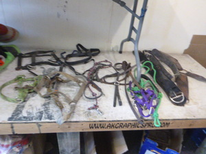 lot 37 image: Horse Accessories